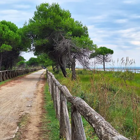 Bright Flat Near The - Beahost * Bibione