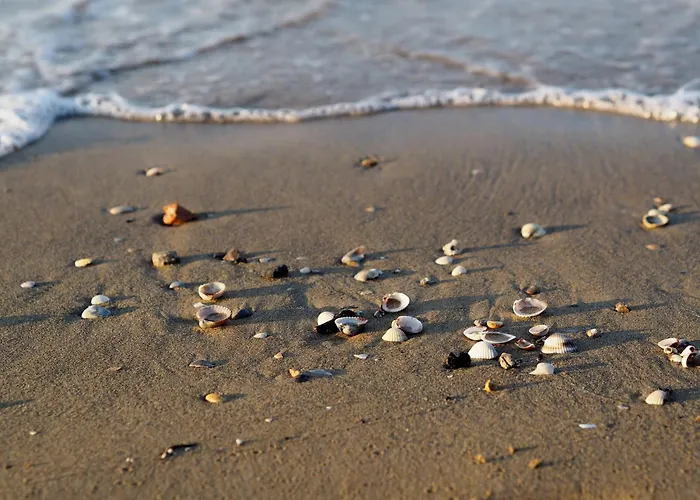 Daire Bright Flat Near The Beach-beahost *